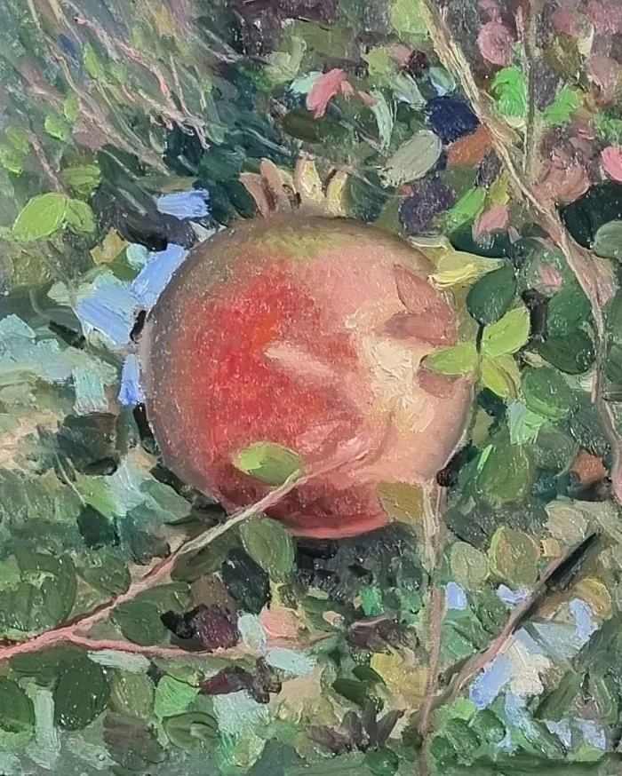 Melograno, opera di Emilio Ventura